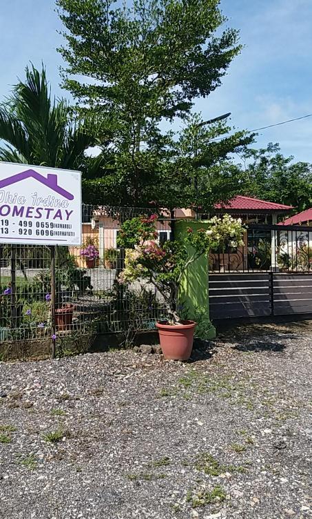 Dhia Irdina Homestay Paya Rewak Exterior foto