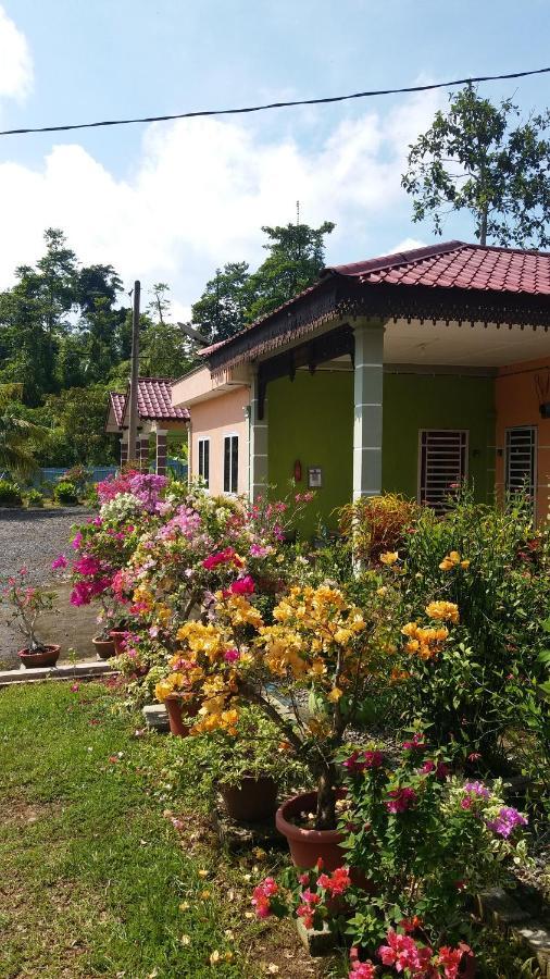 Dhia Irdina Homestay Paya Rewak Exterior foto